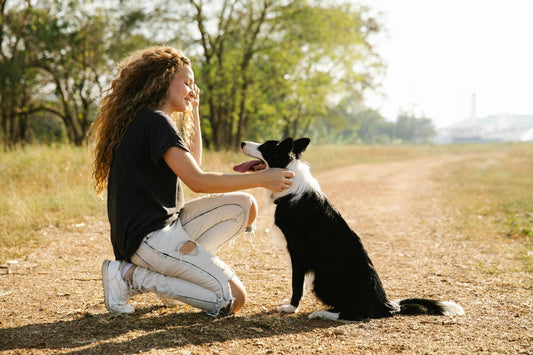 Dog sitting on country lane and waiting for a treat with teen girl