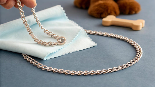 Jewelry Care 101: Dog-Inspired Tips - Doggo Mojo