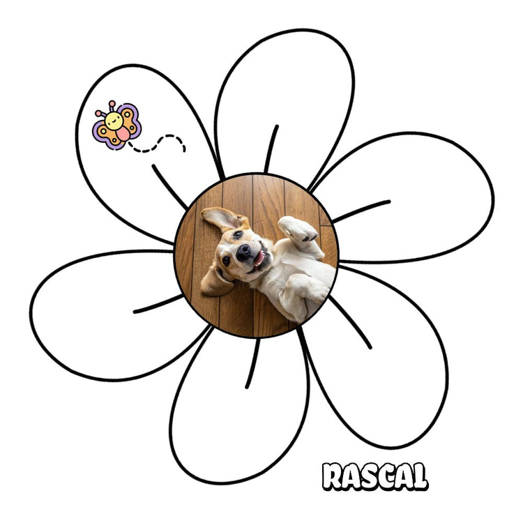 Daisy Dog Collection: Personalized Floral Pet Designs - Doggo Mojo