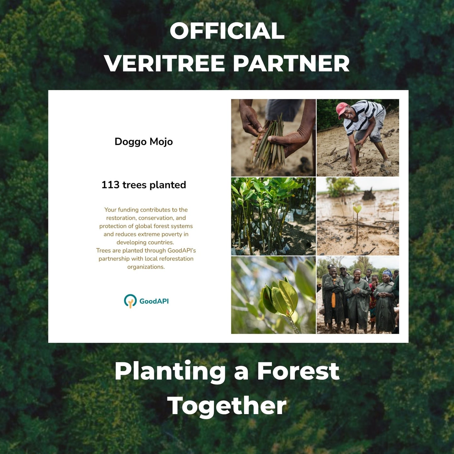 veritree Partner promotional graphic with tree planting images and text.
