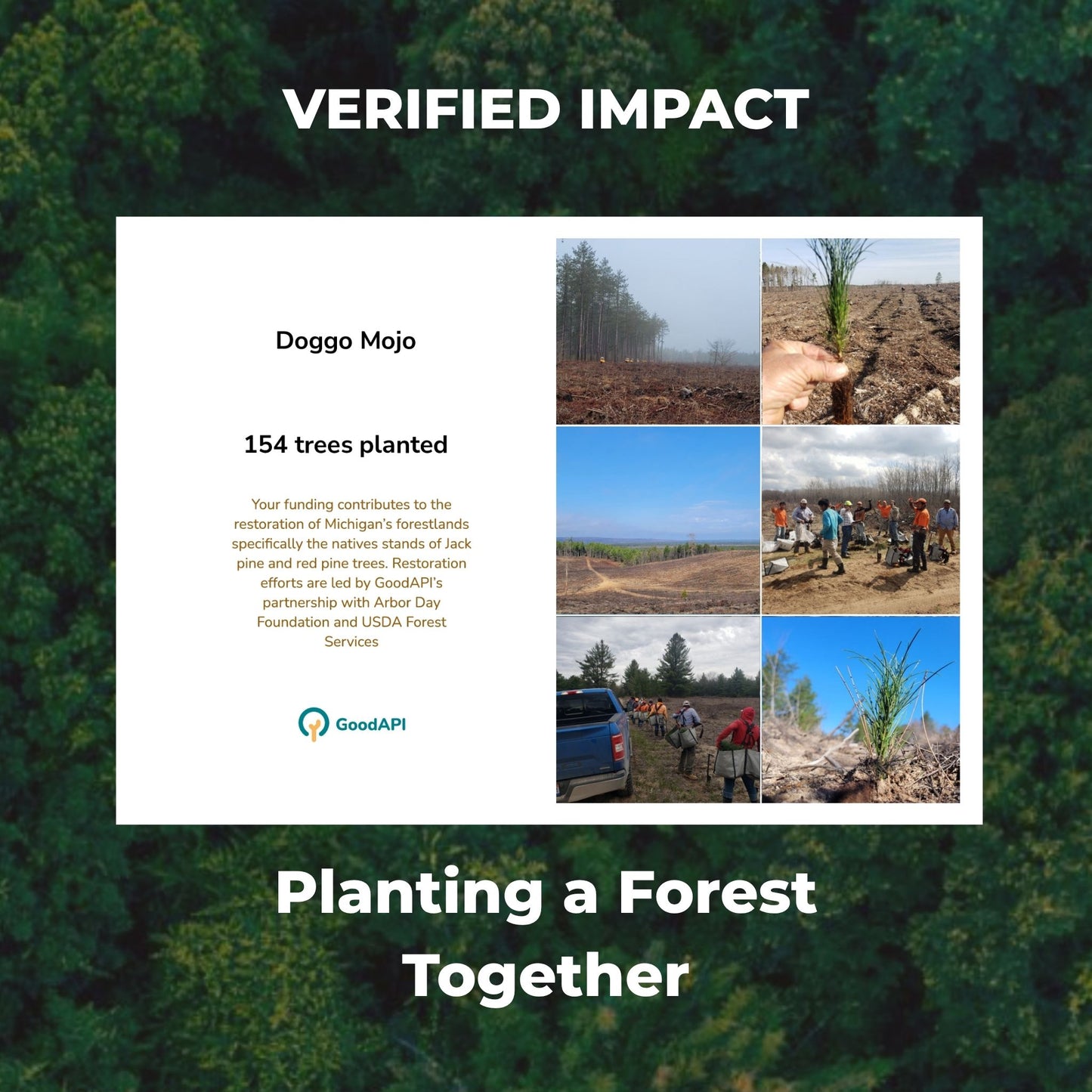 Good API and veritree Partner promotional graphic with tree planting images and text.
