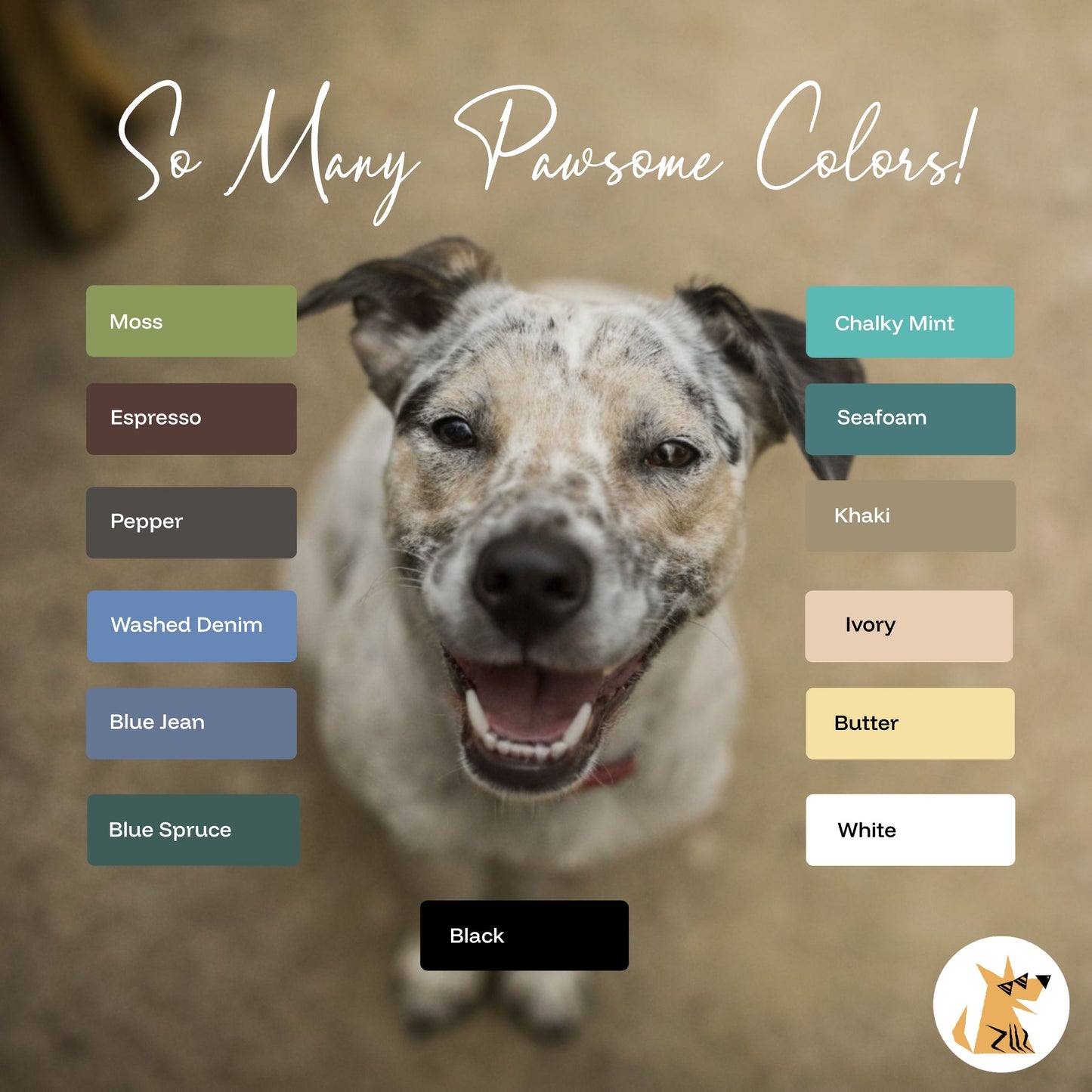 Comfort Colors T-shirt Color Chart