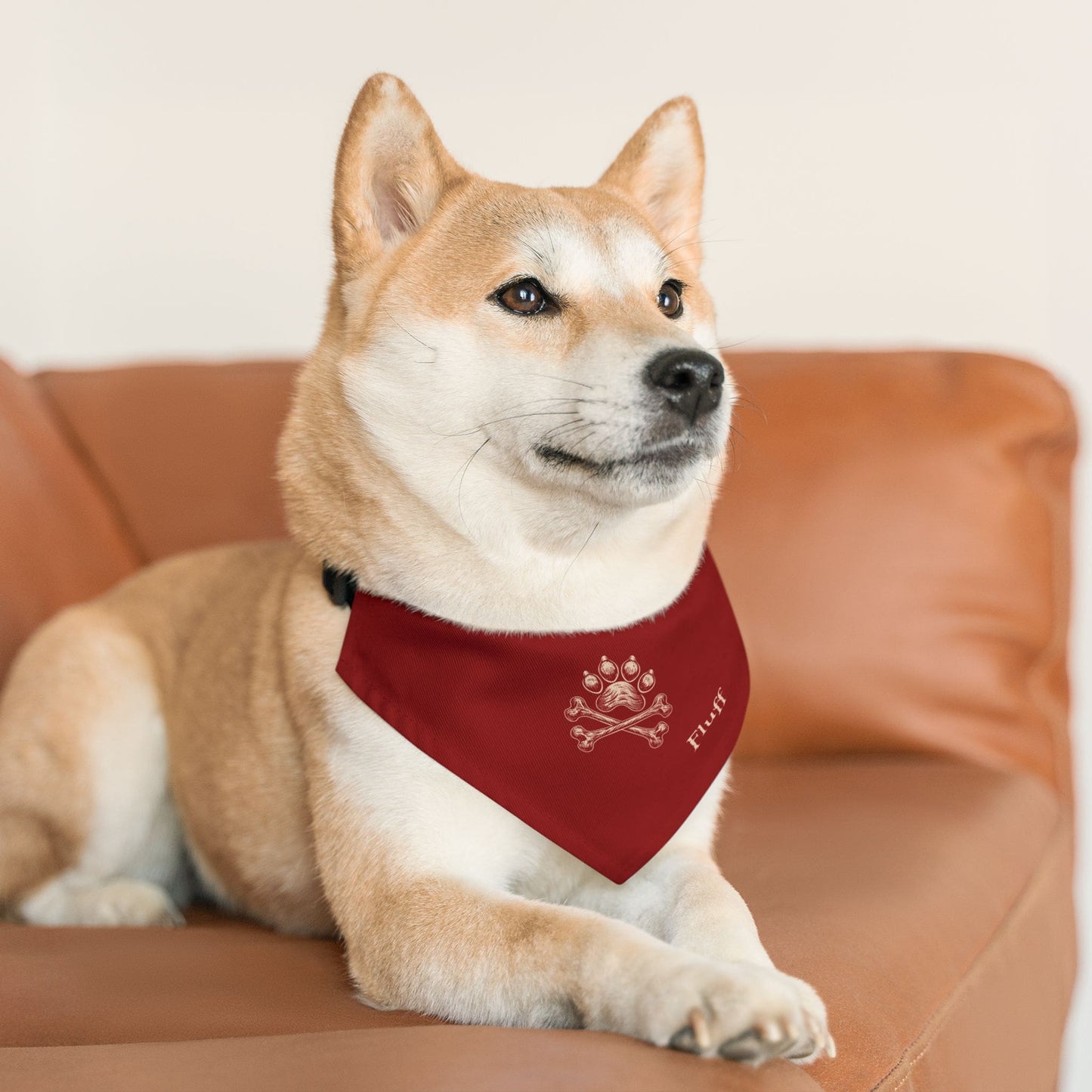 Personalized Bandana Collar | Jolly Roger Design with Your Dog's Name_Doggo Mojo_Pet Collar_2