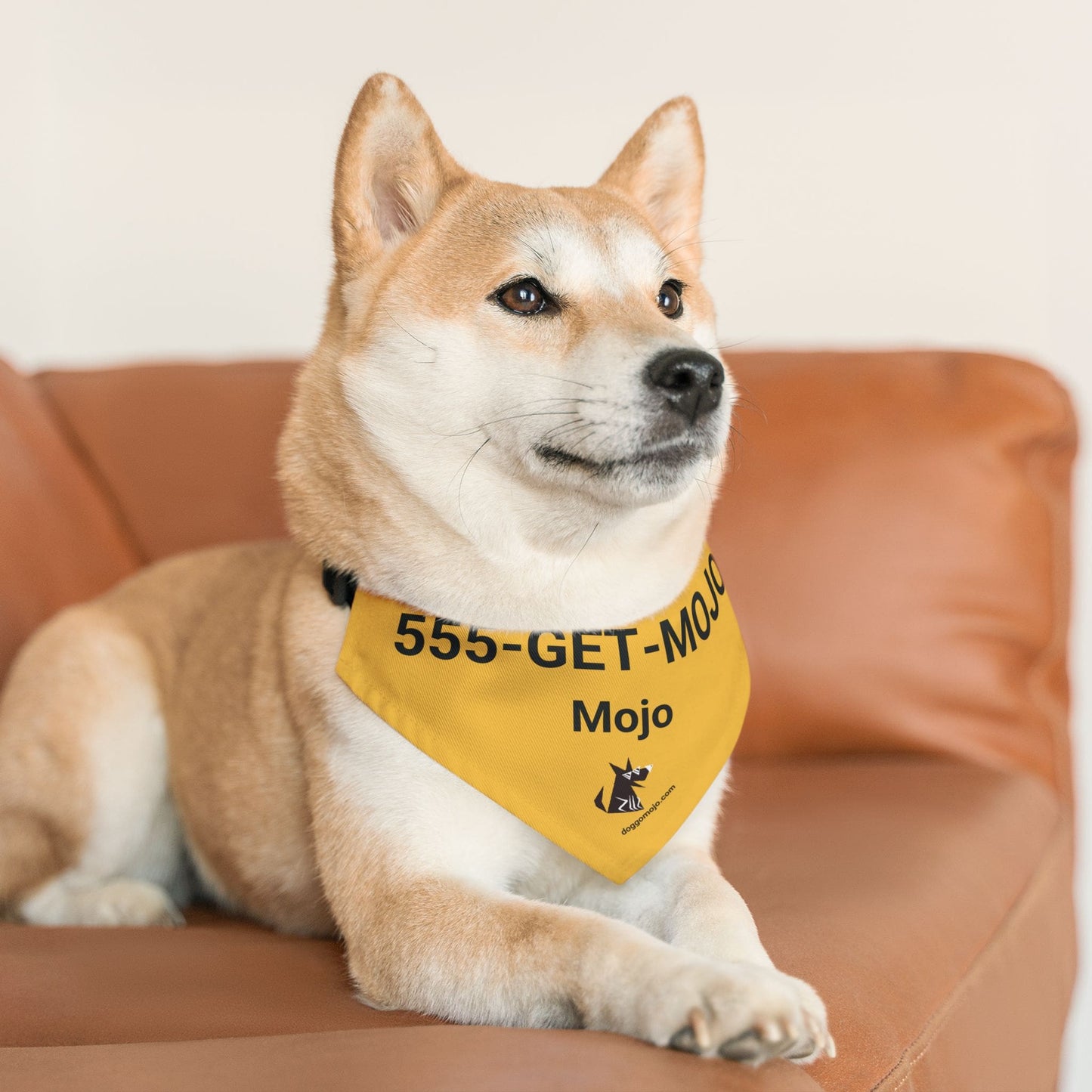 Personalized Visible ID Bandana Collar | Custom Name & Phone Number_Doggo Mojo_Pet Collar_4