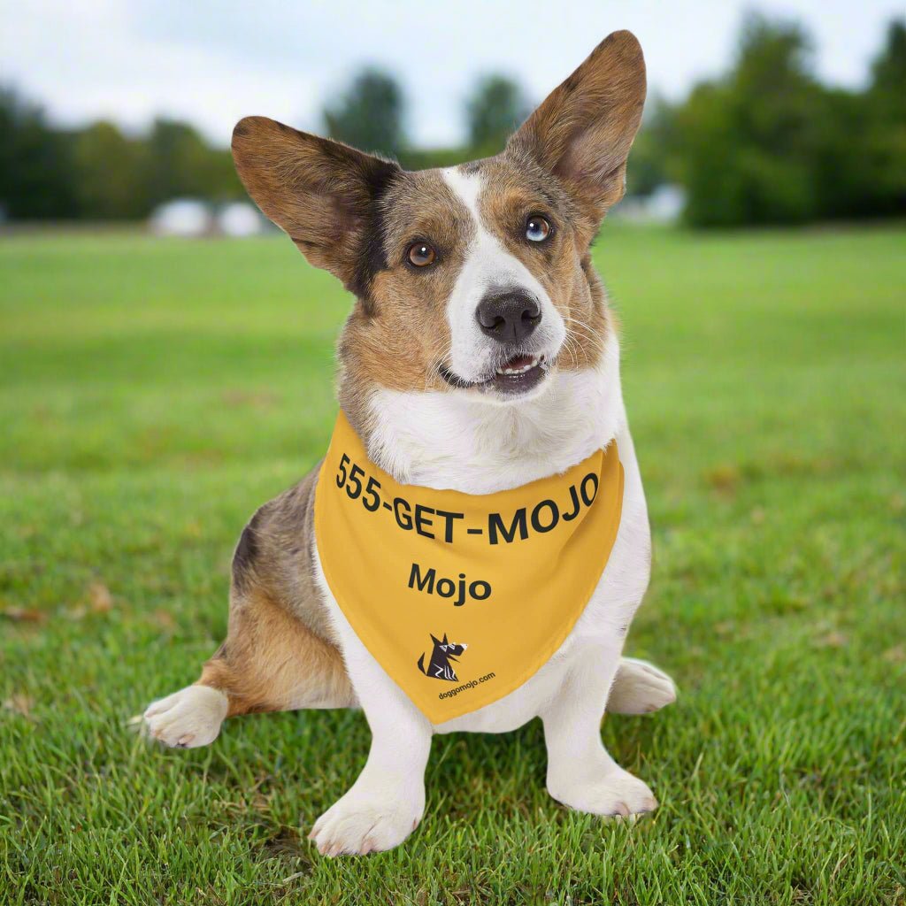 Personalized Visible ID Bandana Collar | Custom Name & Phone Number_Doggo Mojo_Pet Collar_2