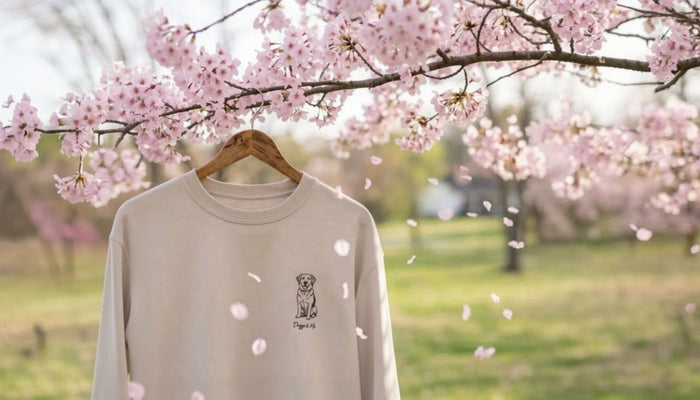 Oatmeal sweatshirt hanging in a blooming Yoshino cherry tree with pink petals falling in a spring breeze.