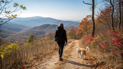 Mojo's Fall Adventure - Doggo Mojo