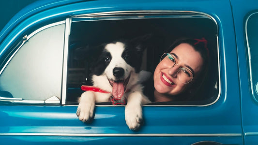 Mojo's Pawsome Dog Travel Guide for a Stress-Free Summer! - Part 1: Getting Ready for Adventure! - Doggo Mojo