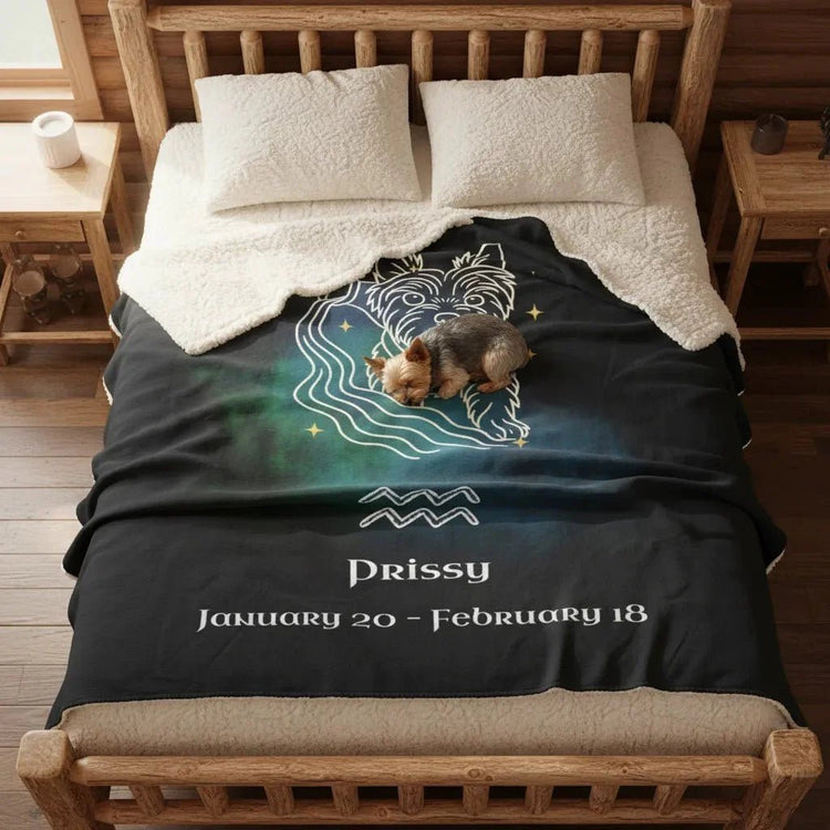 Aquarius modern sketch of a Yorkshire Terrier on a fleece sherpa blanket with a yorkie asleep on top.