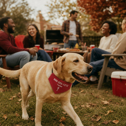 Personalized Tuscaloosa Jack Pine Dog Bandana Collar | Doggo Mojo