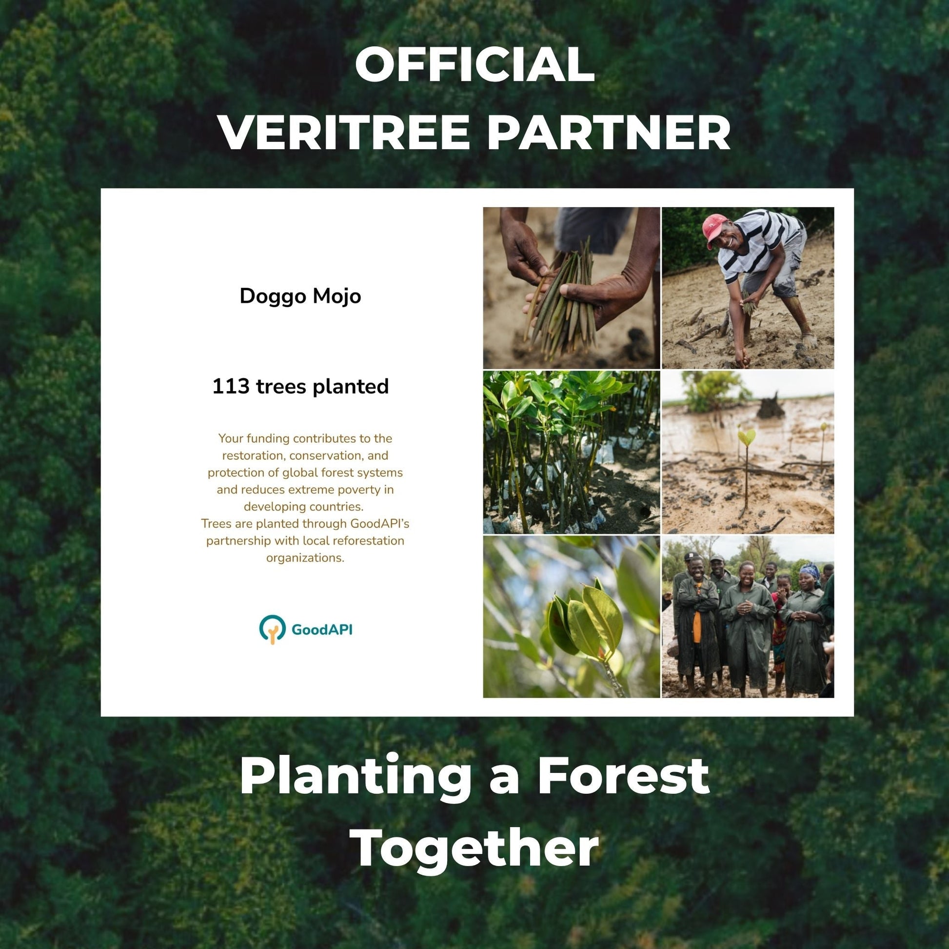 veritree Partner promotional graphic with tree planting images and text.