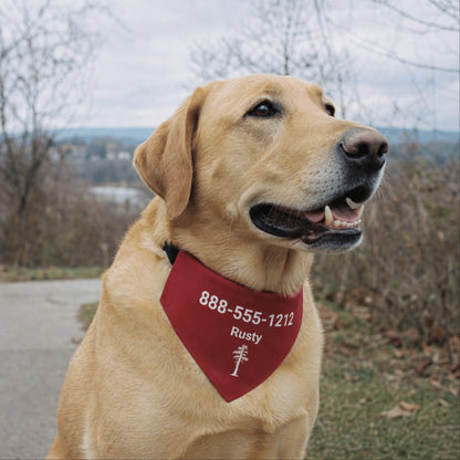 Personalized Fayetteville Jack Pine Dog Bandana Collar | Doggo Mojo