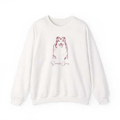 Personalized College Station Dog Sweatshirt | Modern Sketch Photo Upload