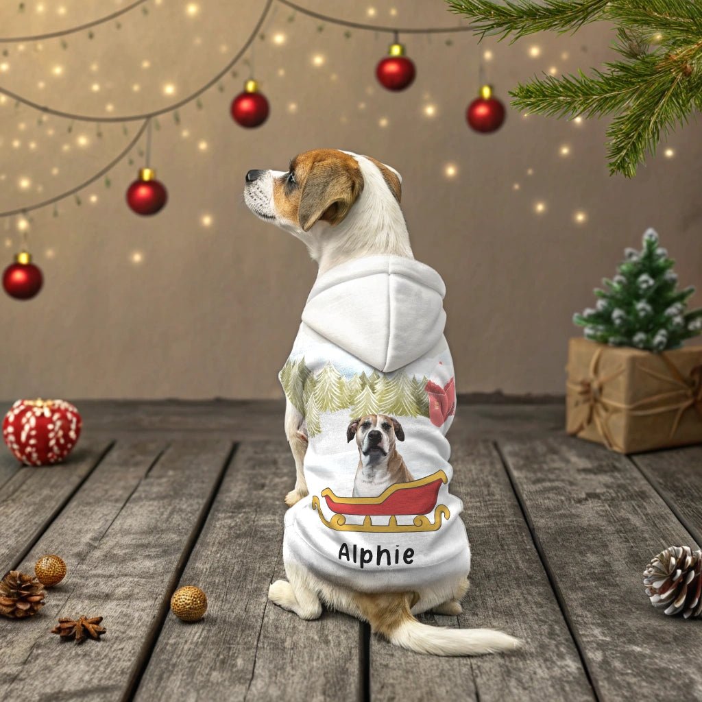 A Furry Friend's Winter Wonderland Dog Hoodie with Custom Photo_Doggo Mojo_Pet Hoodies_XXS_White Rib_1