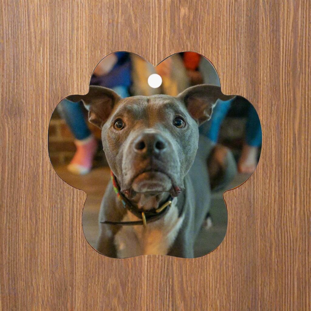 A Paw - sitively Perfect Aluminum Ornament with Custom Photo_Doggo Mojo_Holiday Ornaments_Pet Paw__3