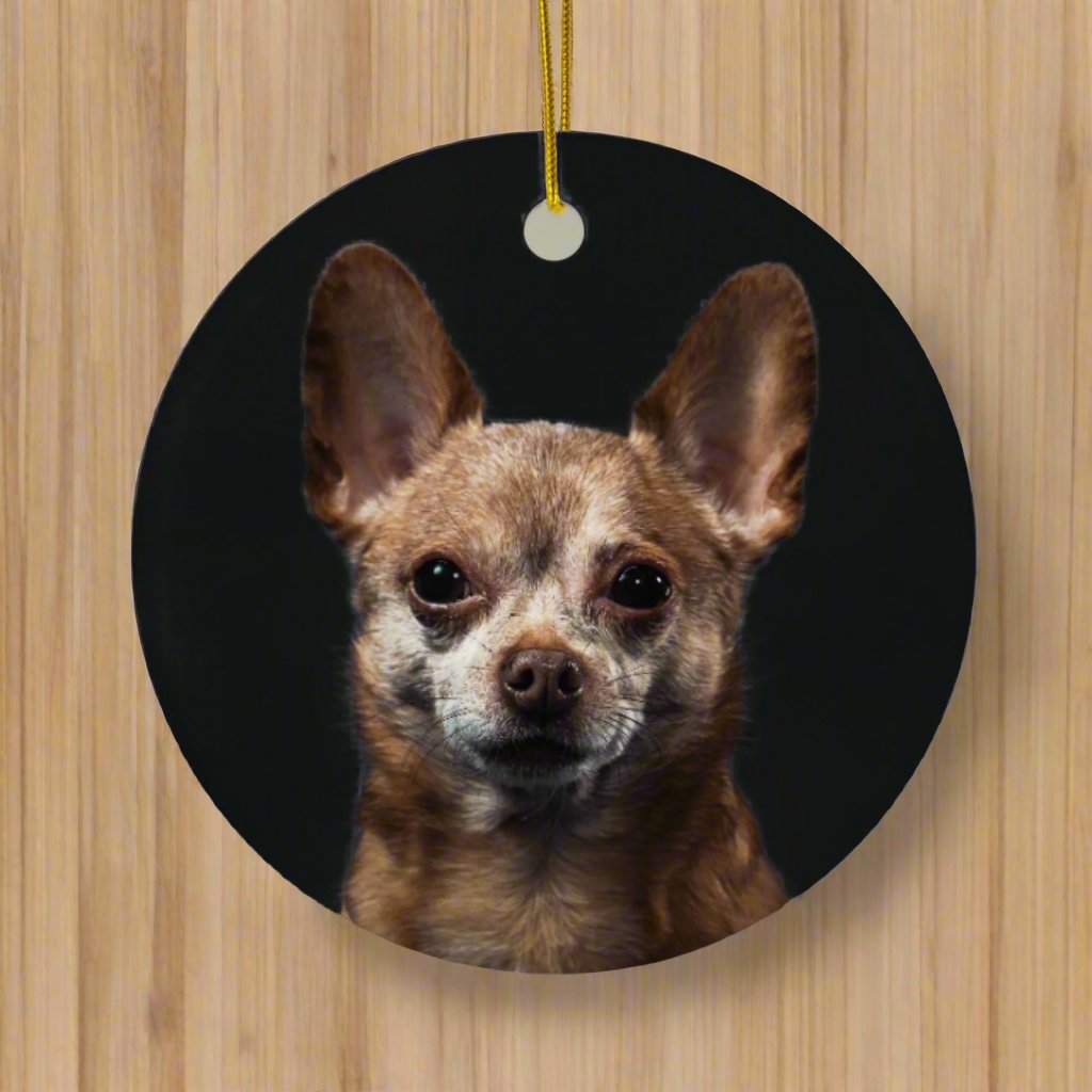 A Paw - sitively Perfect Personalized Ornament with Custom Photo_Doggo Mojo_Holiday Ornaments_Round_One size_3