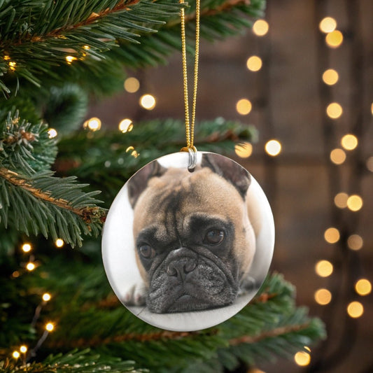 A Paw - sitively Perfect Personalized Ornament with Custom Photo_Doggo Mojo_Holiday Ornaments_Round_One size_1