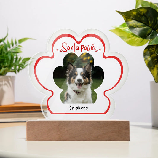 A Paw - sitively Perfect Personalized Plaque with Custom Photo_Doggo Mojo_Novelty Signs_Battery Powered LED Base__1