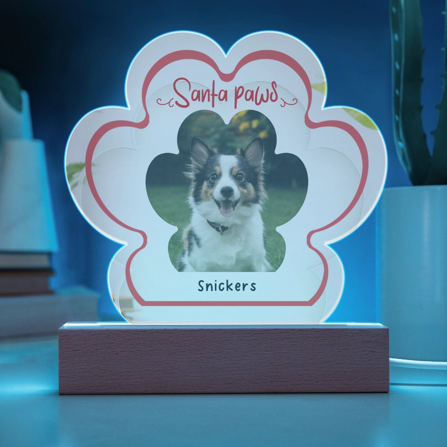 A Paw - sitively Perfect Personalized Plaque with Custom Photo_Doggo Mojo_Novelty Signs_Battery Powered LED Base__2