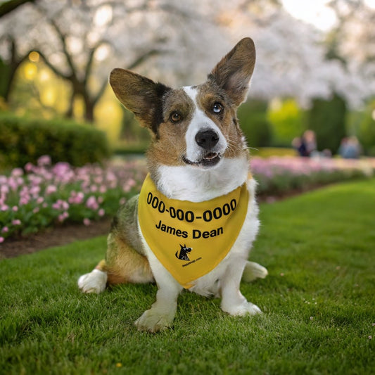 Mojo's Instant ID Bandana on Collar (Sizes L & XL) | Personalized Pet Safety & Style_Doggo Mojo_Pet Collar_1