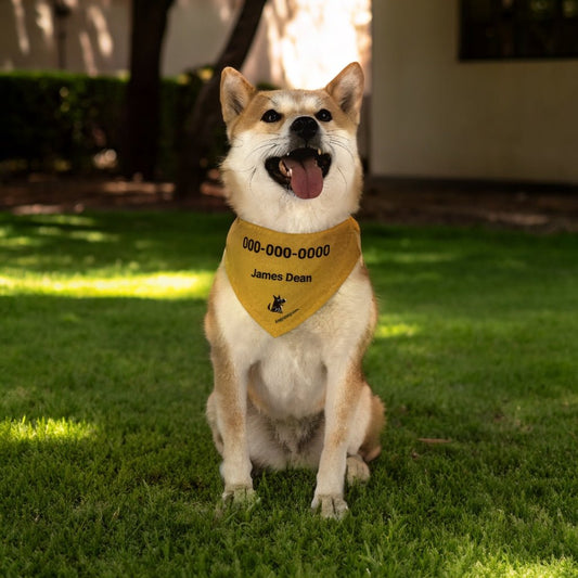 Mojo's Instant ID Bandana on Collar (Sizes S & M) | Personalized Pet Safety & Style_Doggo Mojo_Pet Collar_1