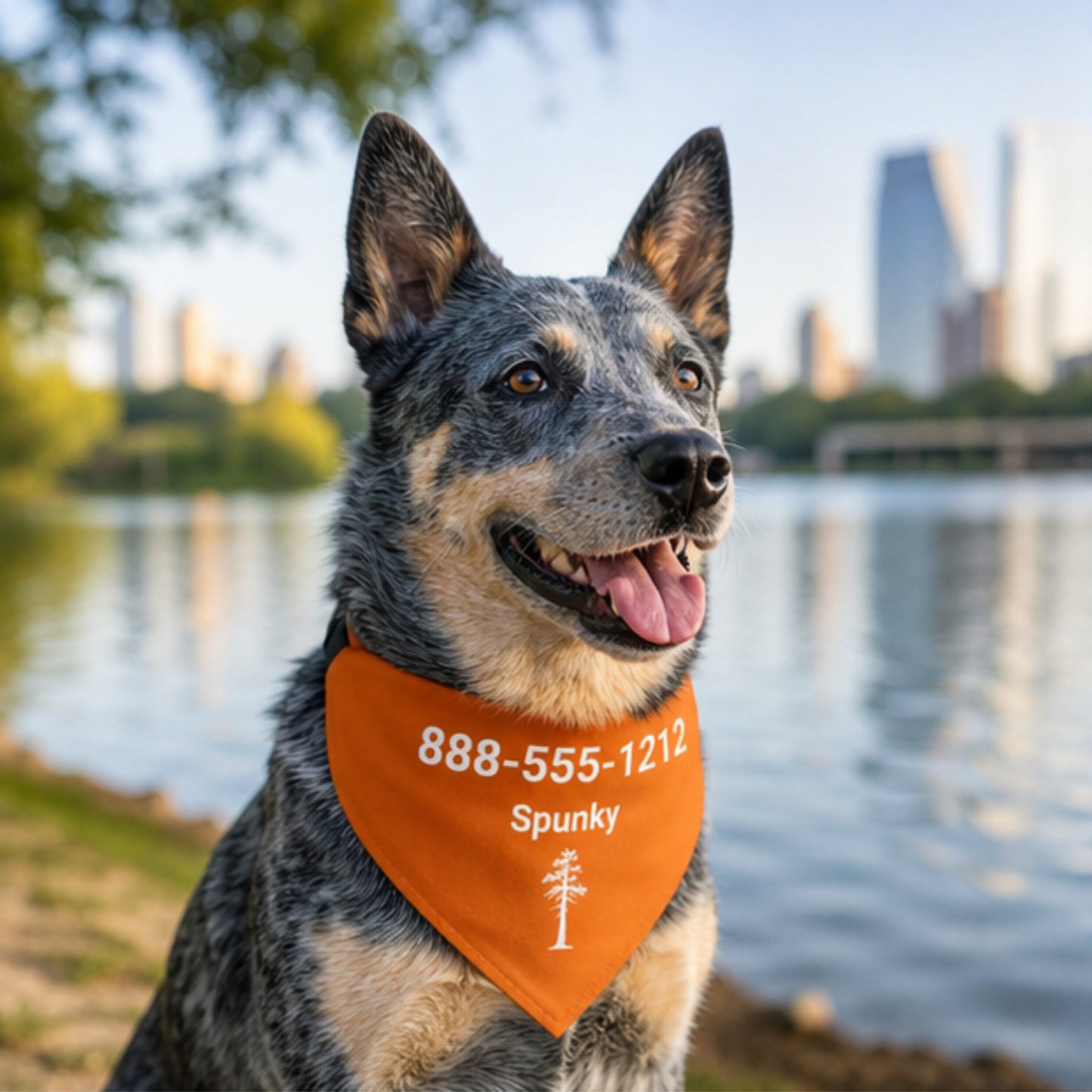 Personalized Austin Jack Pine Dog Bandana Collar | Doggo Mojo_Doggo Mojo_Pet Collar_1