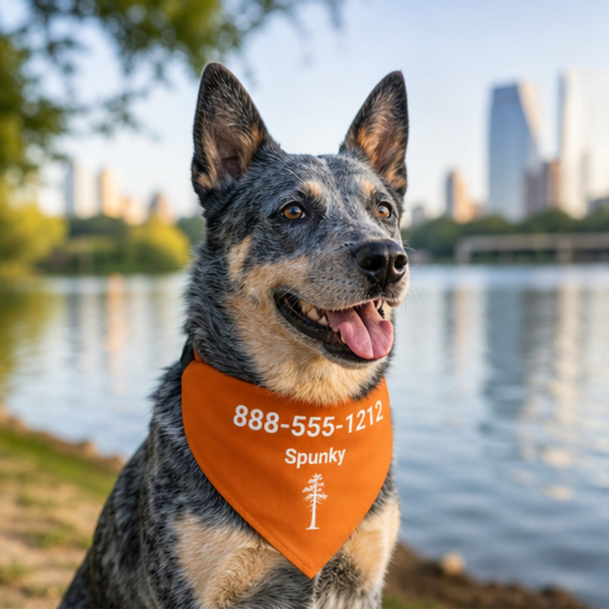 Personalized Austin Jack Pine Dog Bandana Collar | Doggo Mojo_Doggo Mojo_Pet Collar_1