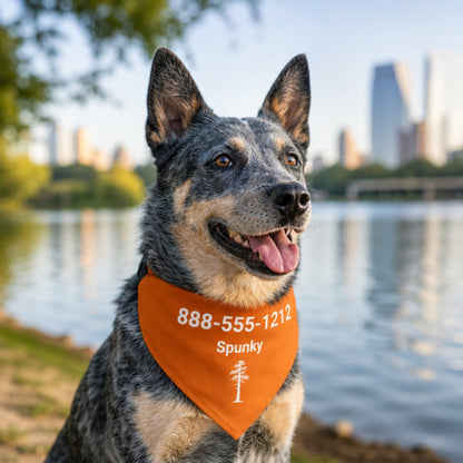 Personalized Austin Jack Pine Dog Bandana Collar | Doggo Mojo_Doggo Mojo_Pet Collar_1