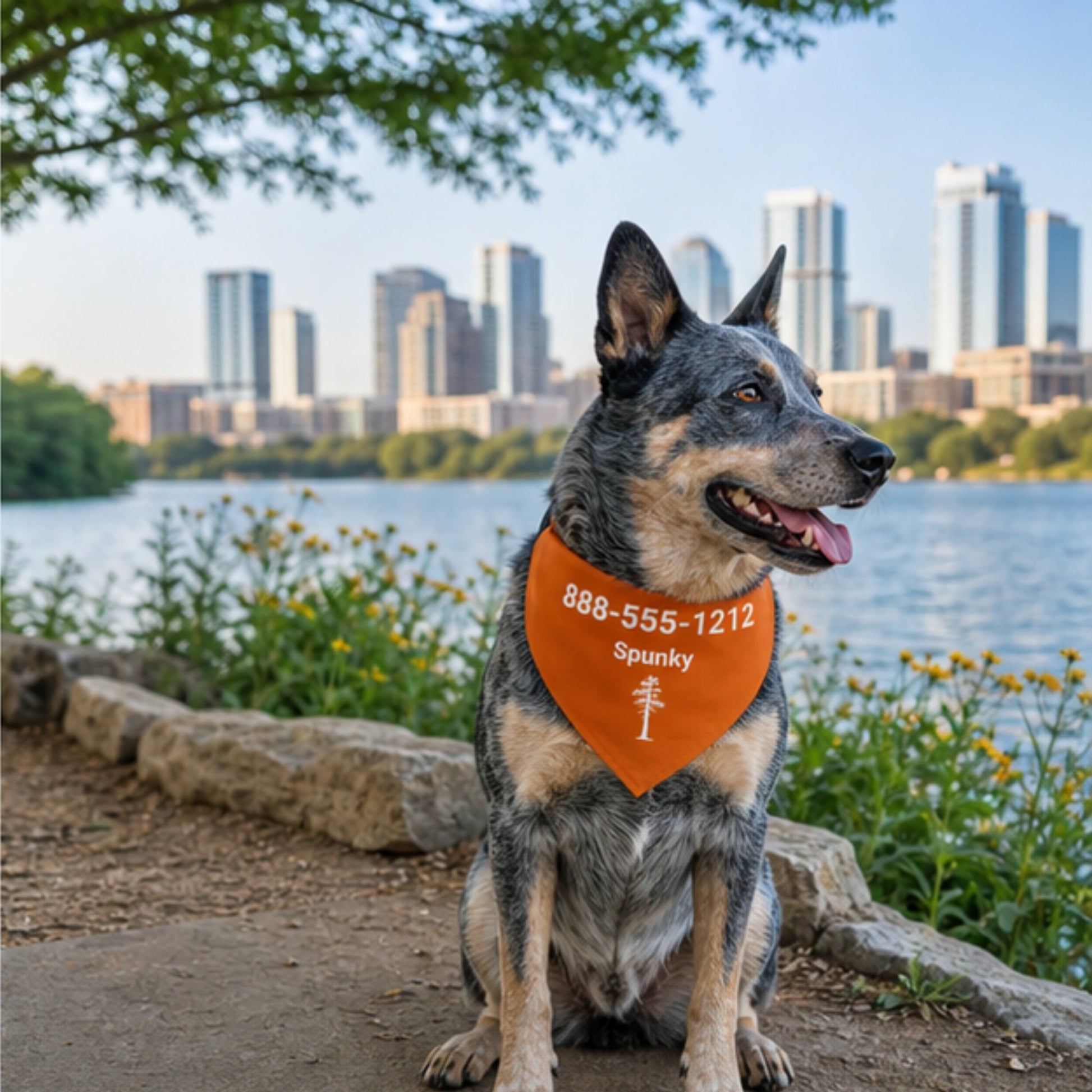 Personalized Austin Jack Pine Dog Bandana Collar | Doggo Mojo_Doggo Mojo_Pet Collar_2