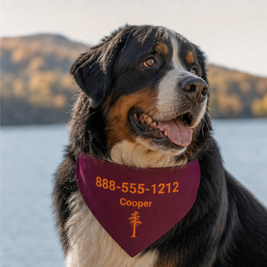 Personalized Blacksburg Jack Pine Dog Bandana Collar | Doggo Mojo_Doggo Mojo_Pet Collar_1
