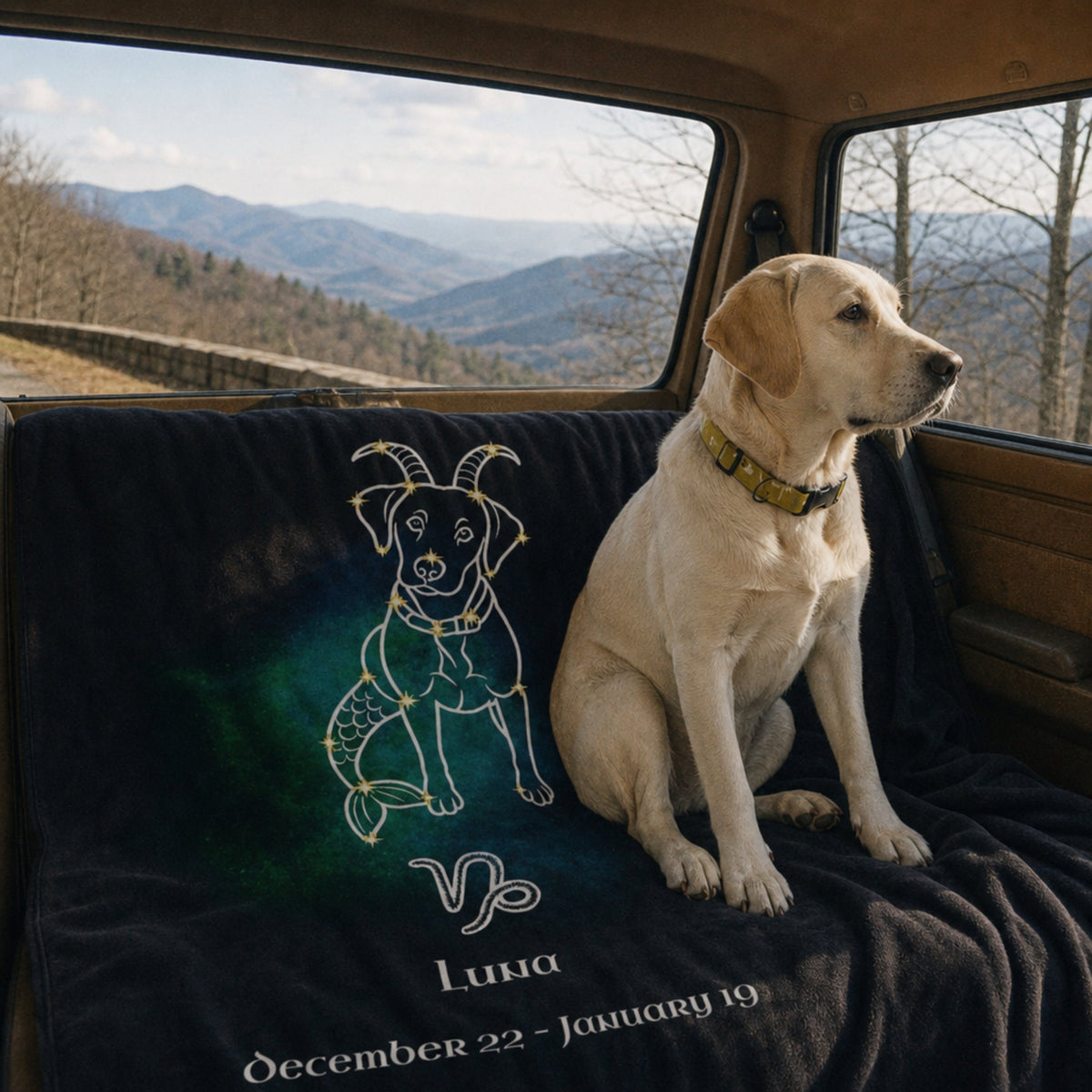 Personalized Capricorn Dog Velveteen Blanket | Modern Sketch Photo Upload_Doggo Mojo_Velveteen Blankets_1