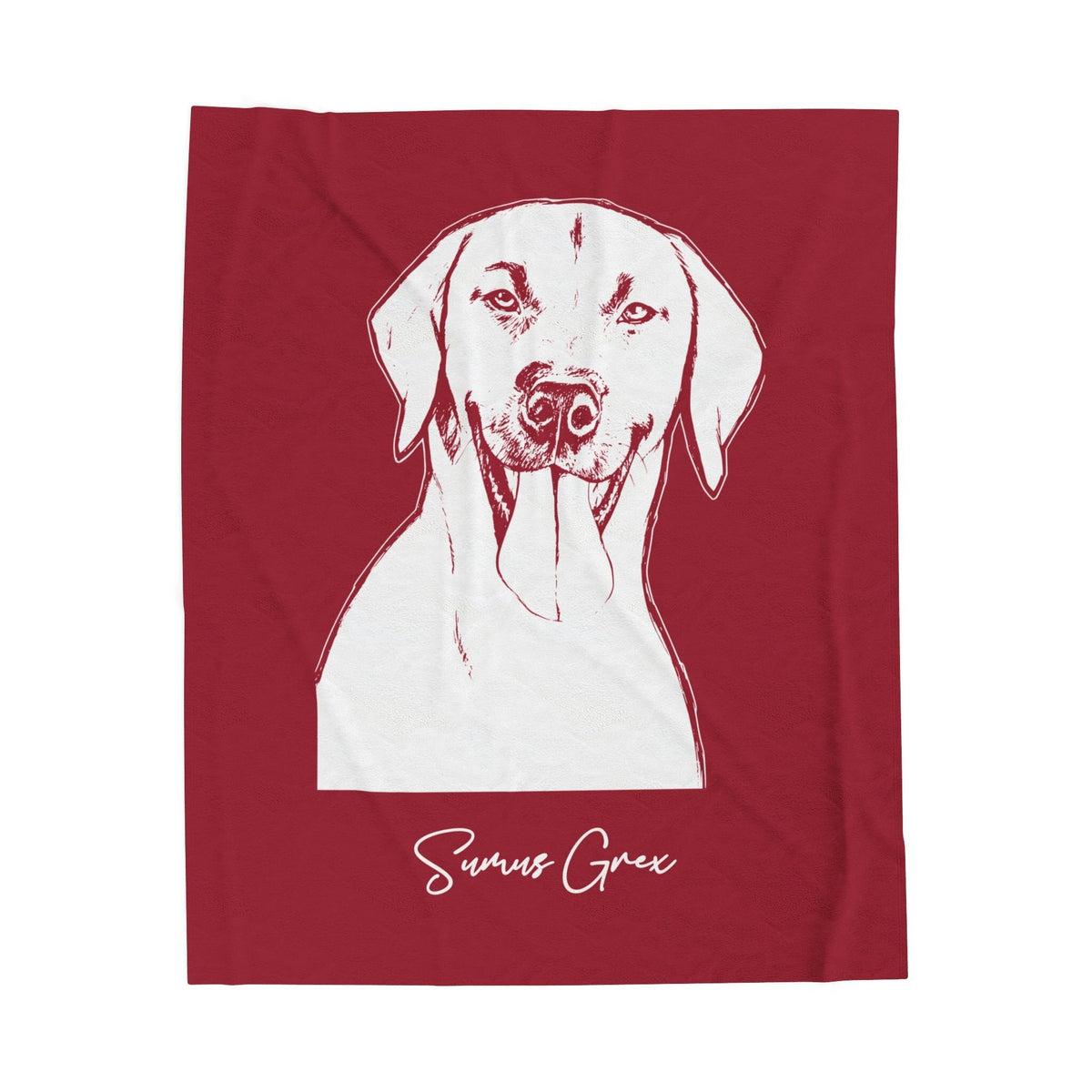 Personalized Fayetteville Dog Velveteen Blanket | Modern Sketch Photo Upload_Doggo Mojo_Velveteen Blankets_7