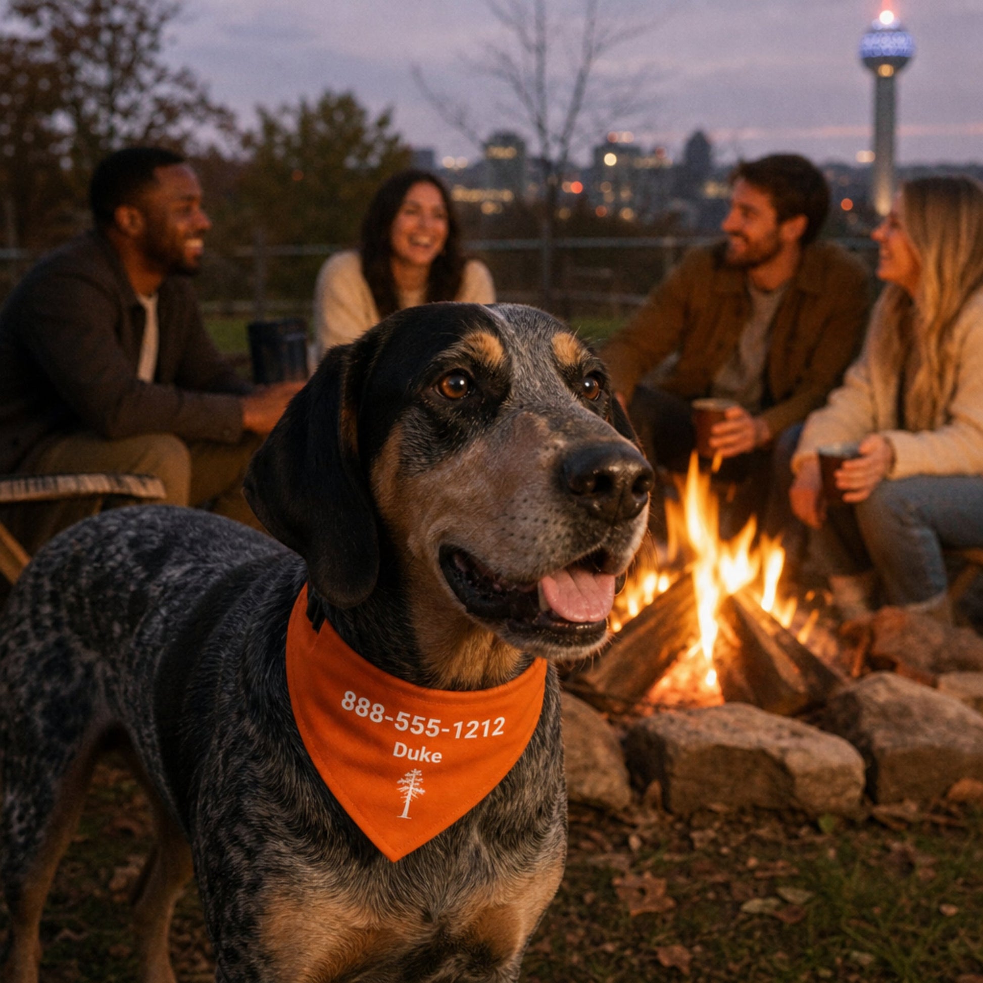 Personalized Knoxville Jack Pine Dog Bandana Collar | Doggo Mojo_Doggo Mojo_Pet Collar_1