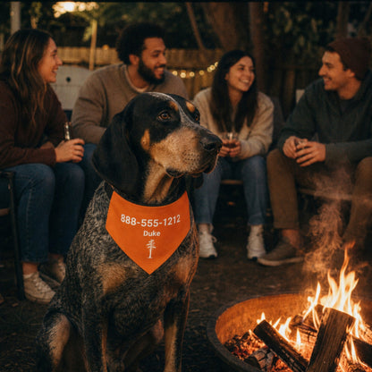 Personalized Knoxville Jack Pine Dog Bandana Collar | Doggo Mojo_Doggo Mojo_Pet Collar_2