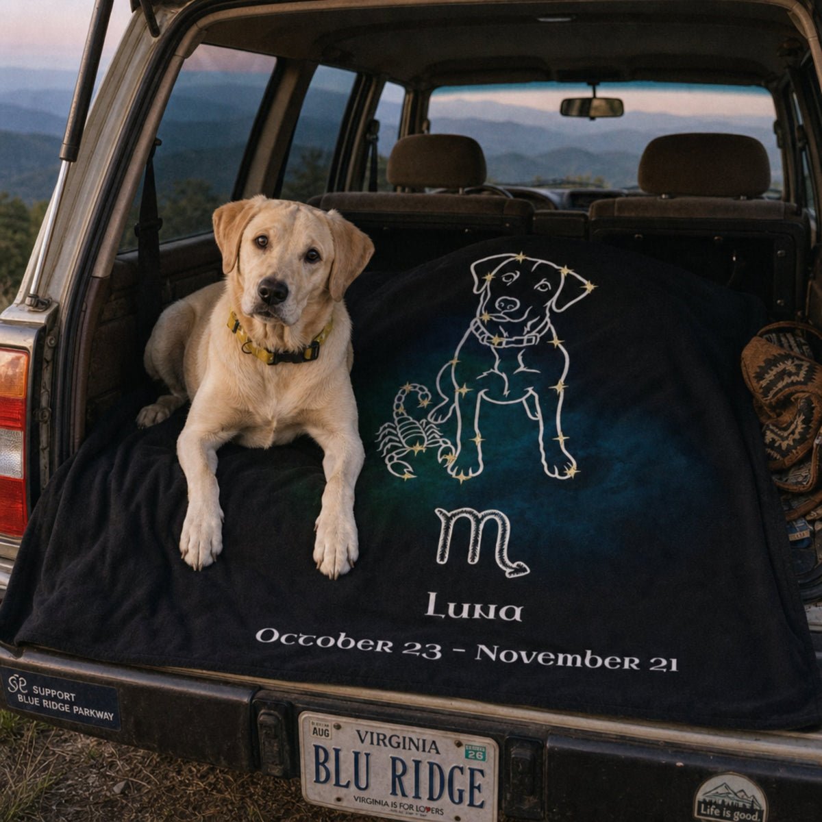 Personalized Scorpio Dog Velveteen Blanket | Modern Sketch Photo Upload_Doggo Mojo_Velveteen Blankets_1