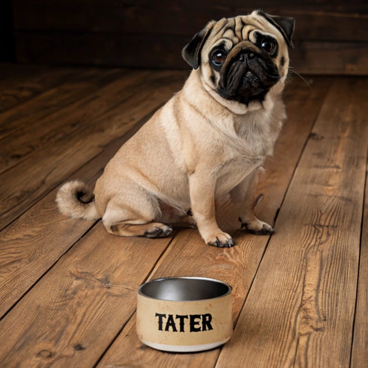 Personalized Stainless Steel Dog Bowl with Antique Paper Design_Doggo Mojo_Pet Bowls_White_18 oz_1