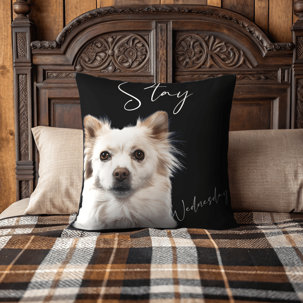 Personalized "Stay" Dog Throw Pillow with Dog Photo_Doggo Mojo_Throw Pillows_14" x 14"__1