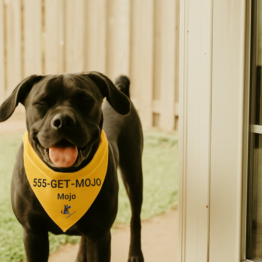 Personalized Visible ID Bandana Collar | Custom Name & Phone Number_Doggo Mojo_Pet Collar_1