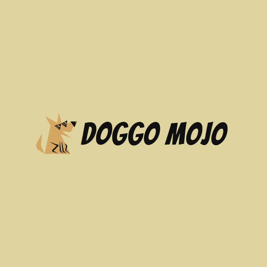 A short video demonstrating how to personalize a custom dog portrait t-shirt. It shows a user uploading a photo, the photo transforming into line art on a shirt, and adding the dog's name in a live preview tool.