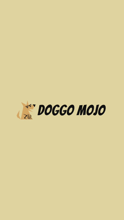 A short video demonstrating how to personalize a custom dog portrait t-shirt. It shows a user uploading a photo, the photo transforming into line art on a shirt, and adding the dog's name in a live preview tool.
