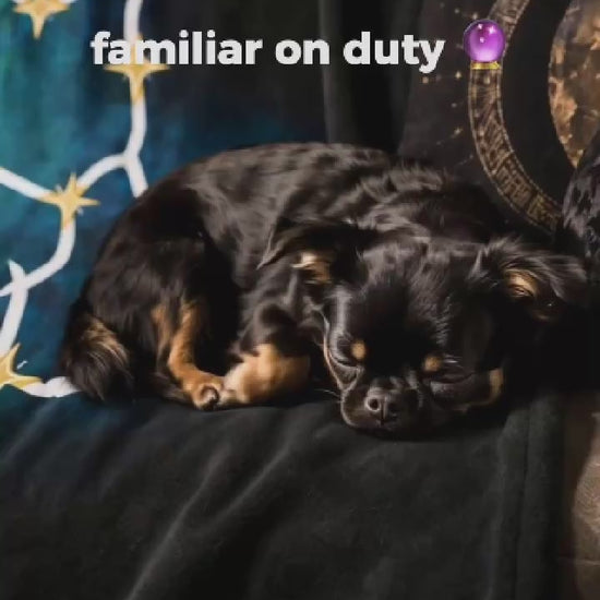 A dog sleeping peacefully curled up on a dark plush velveteen blanket with custom line-art illustration and celestial stars.