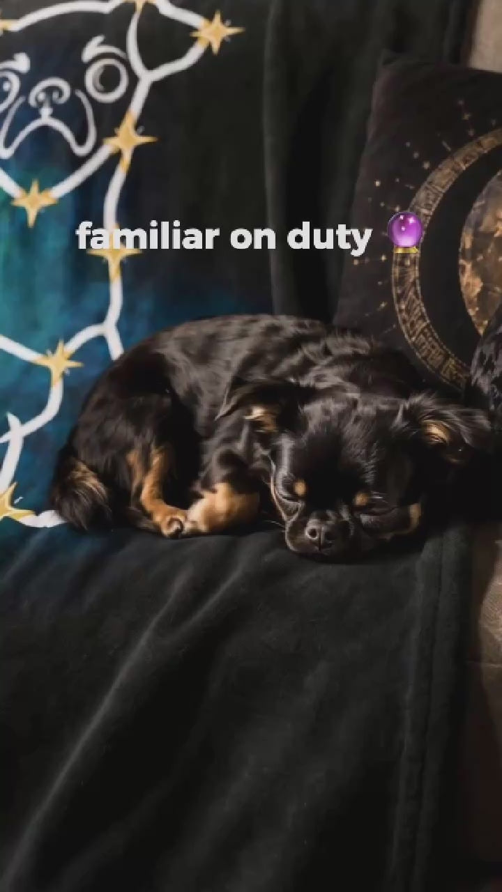 A dog sleeping peacefully curled up on a dark plush velveteen blanket with custom line-art illustration and celestial stars.