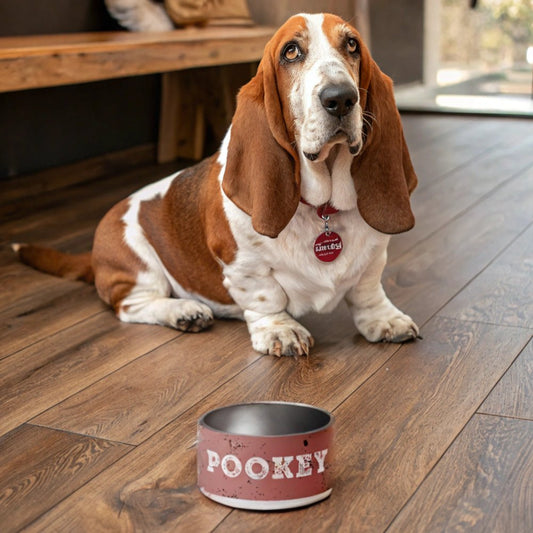 Spattered Style Stainless Steel Dog Bowl_Doggo Mojo_Pet Bowls_White_18 oz_1