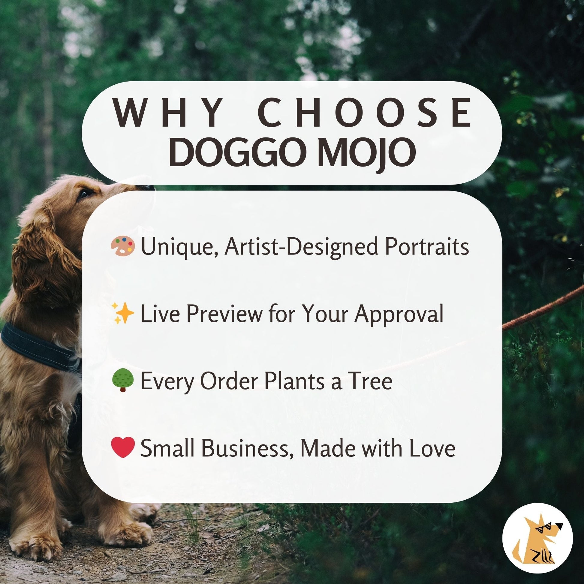Why Choose Doggo Mojo